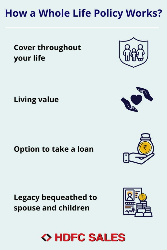 How a Life Insurance Policy Works