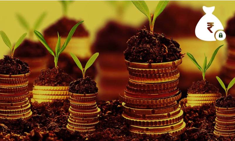 Fixed Deposits Schemes
