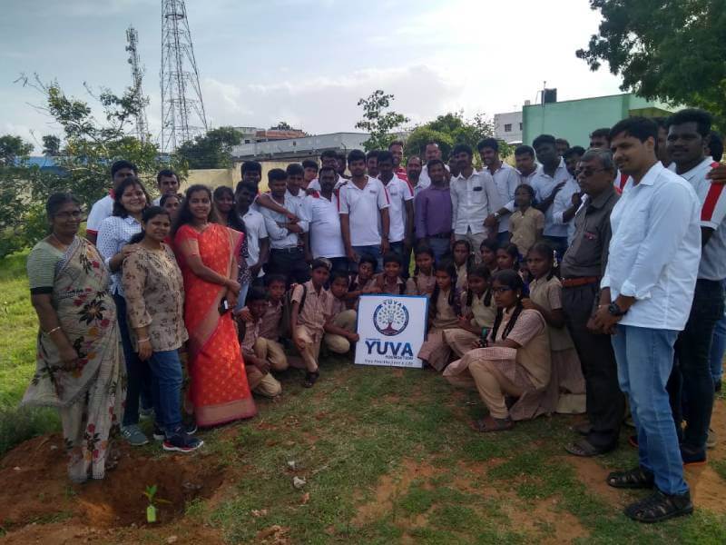 Tree Plantation Drive