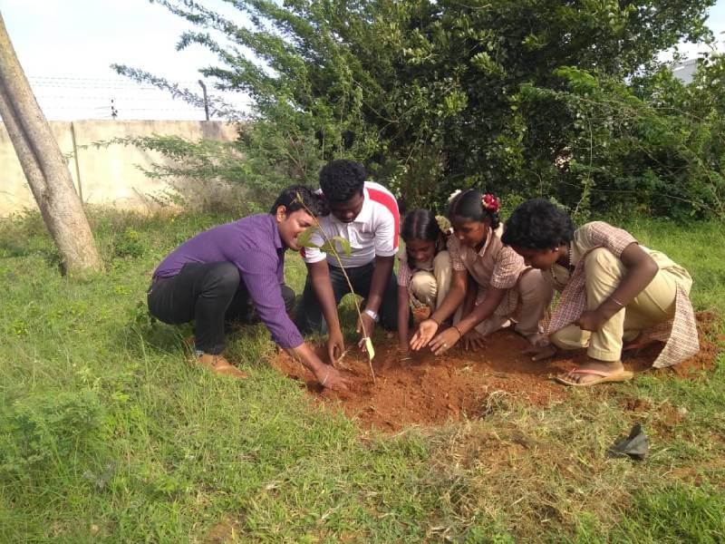 Tree Plantation Drive