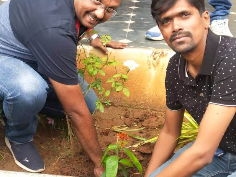 Tree Plantation Drive